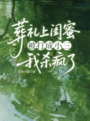 葬礼上闺蜜被打成小三，我杀疯了