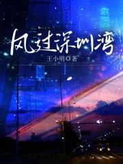 风过深圳湾
